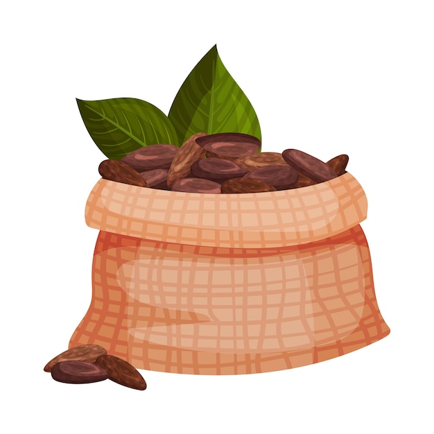 Vecteur illustration vectorielle d'un sac plein de fèves de cacao décortiquées