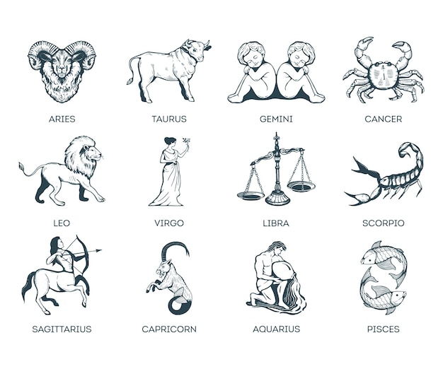 Illustration vectorielle des signes du zodiaque