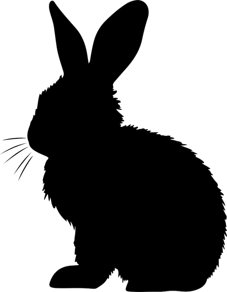 Vecteur illustration vectorielle de la silhouette du lapin à fond blanc