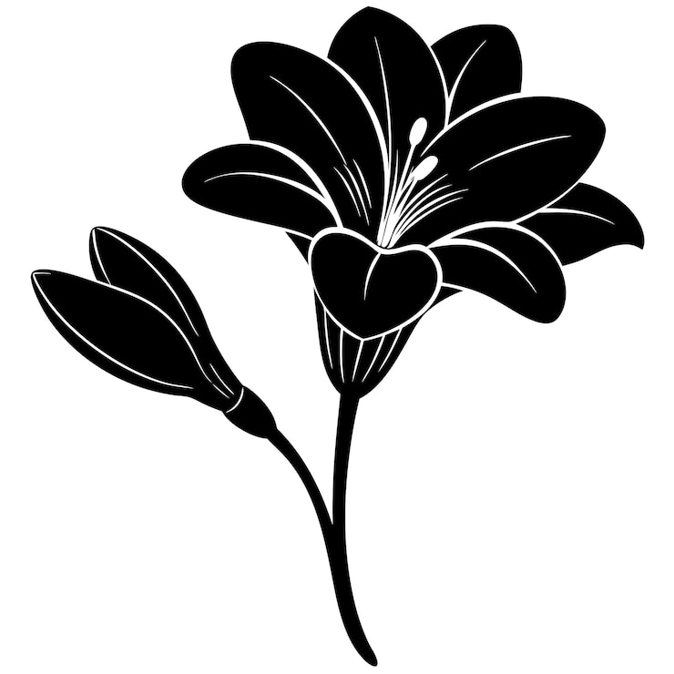Vecteur illustration vectorielle de la silhouette de la fleur de frézie