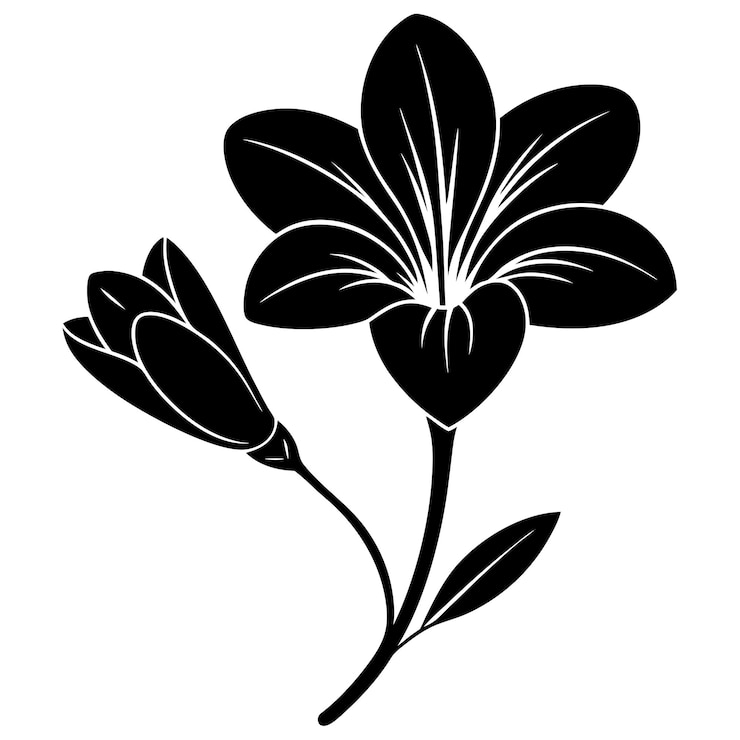 Vecteur illustration vectorielle de la silhouette de la fleur de frézie