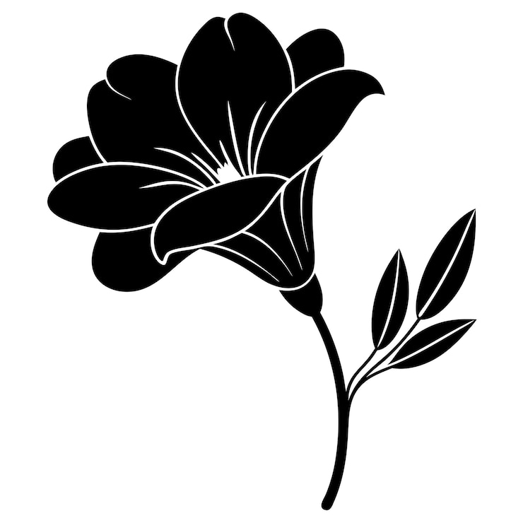Vecteur illustration vectorielle de la silhouette de la fleur de frézie