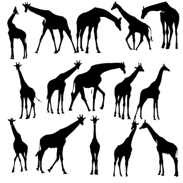 Vecteur illustration vectorielle de silhouette de girafe