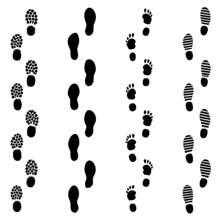 Vecteur illustration vectorielle de la silhouette de l'impression de pied sale