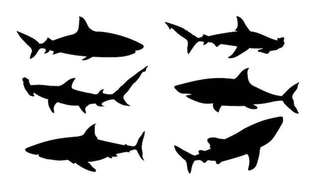 Illustration vectorielle de la silhouette d'un requin Martil silhouette du requin baleine symbole du requin