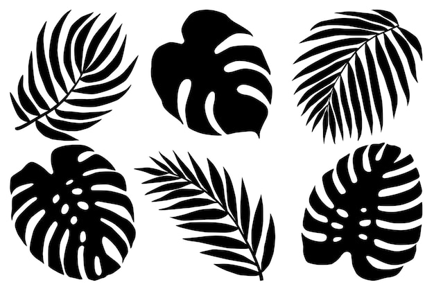 Vecteur illustration vectorielle de silhouettes noires de feuilles tropicales de monstera et de palmiers