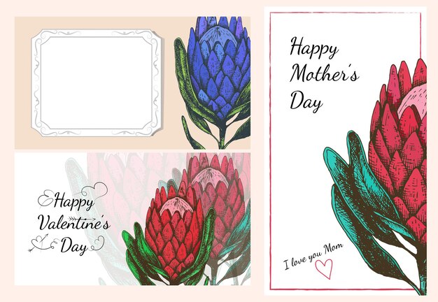 Illustration Vectorielle Stock Pour La Fête Des Mères Ou Les Cartes De La Saint-valentin Définies Fleur De Protea King. Modèle Botanique De Printemps Et D'été Pour Bannière De Site Web Ou Carte De Voeux.