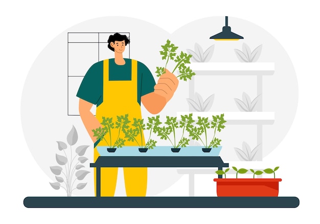 Illustration vectorielle de la technologie hydroponique présentant un environnement de serre pour la culture de plantes vertes dans des conditions contrôlées en arrière-plan