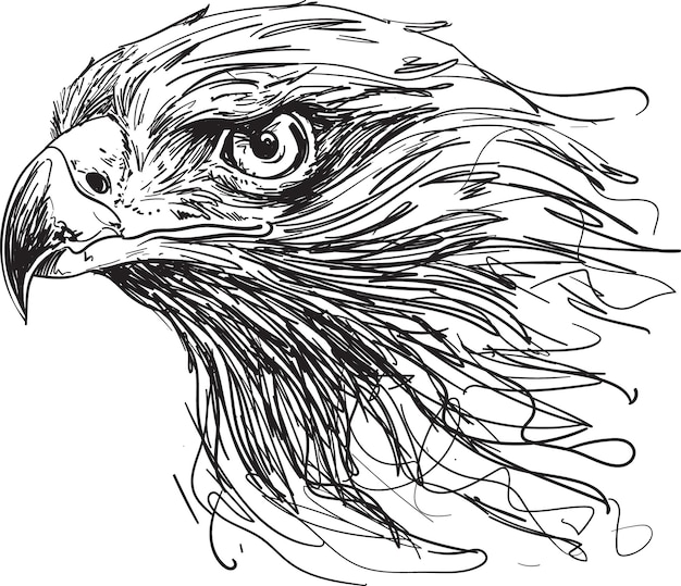 Vecteur illustration vectorielle de la tête d'aigle dessinée à la main