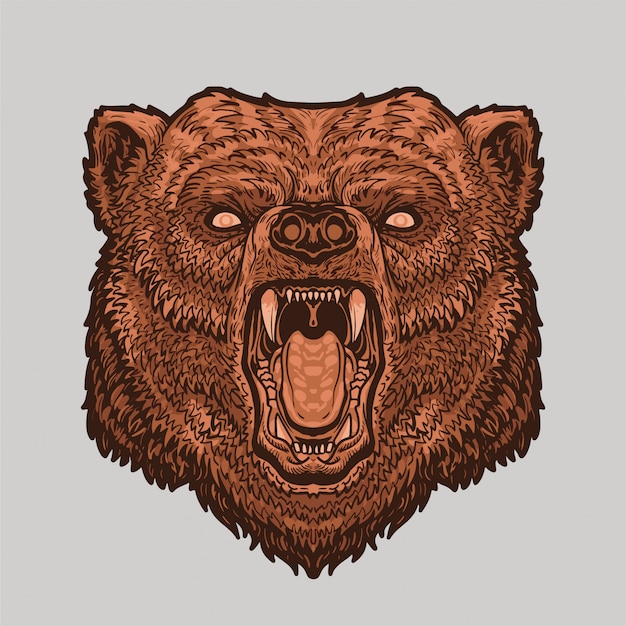 Illustration Vectorielle De Tête D'ours