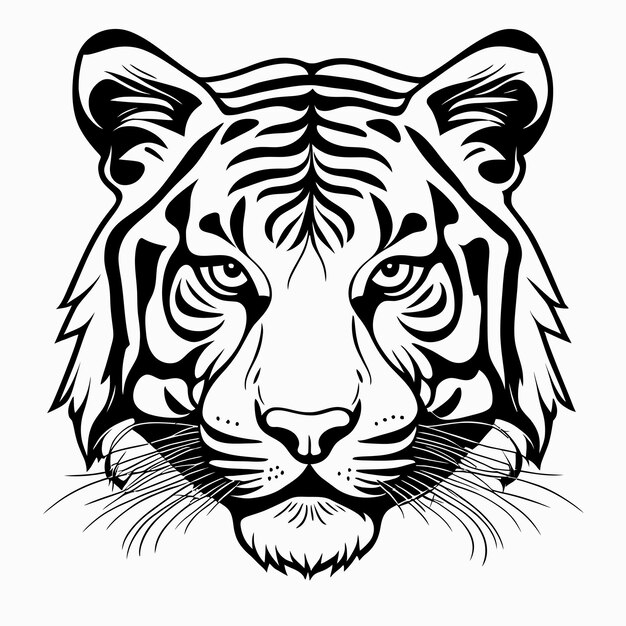 Illustration Vectorielle De Tigre Dessinée à La Main