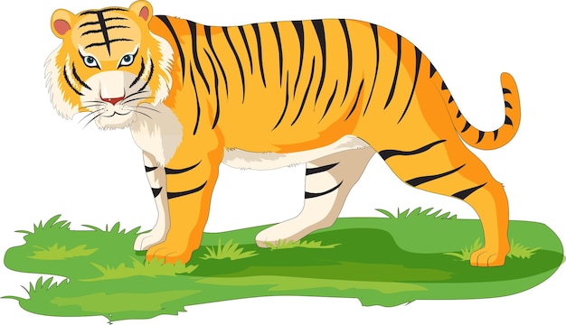 illustration vectorielle de tigre