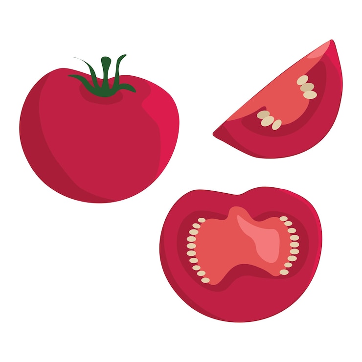 Vecteur illustration vectorielle d'une tomate rouge et de morceaux de tomate sur fond blanc