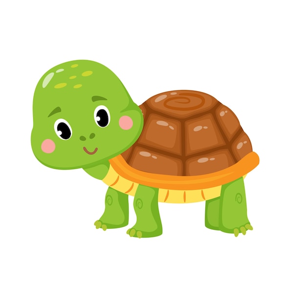 Illustration Vectorielle De Tortue Mignonne