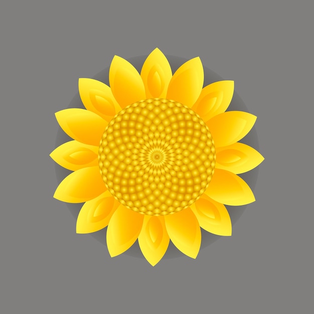 Illustration vectorielle de tournesol