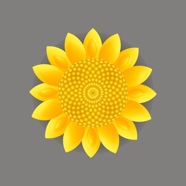 Illustration Vectorielle De Tournesol