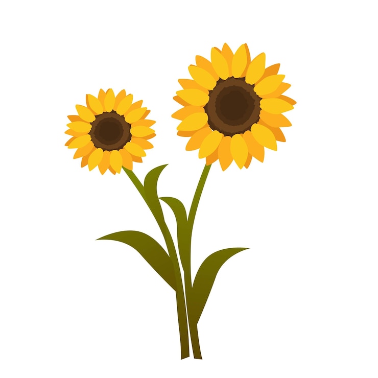 Vecteur illustration vectorielle de tournesols