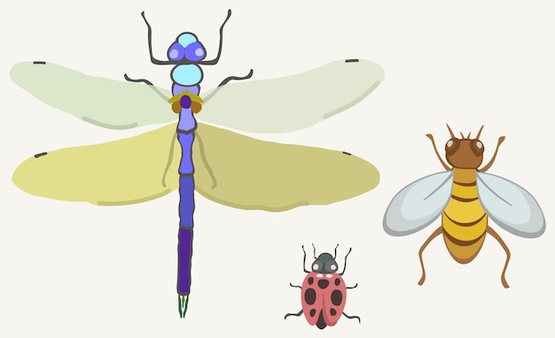 Illustration Vectorielle De Trois Insectes, Libellule, Coccinelle Et Abeille Sur Fond Clair.