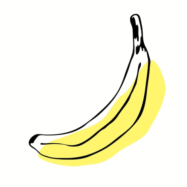 Illustration vectorielle unique d'une banane Dessin au trait de fruits mûrs Doodle