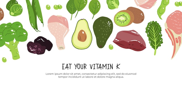 Illustration Vectorielle De Vitamine K Produits Alimentaires à Haute Teneur En Vitamine K1 Et K2 Pruneaux Foie Côtelettes De Porc Brocoli Haricots Verts Et Pois Chou Frisé épinards Et Choux De Bruxelles