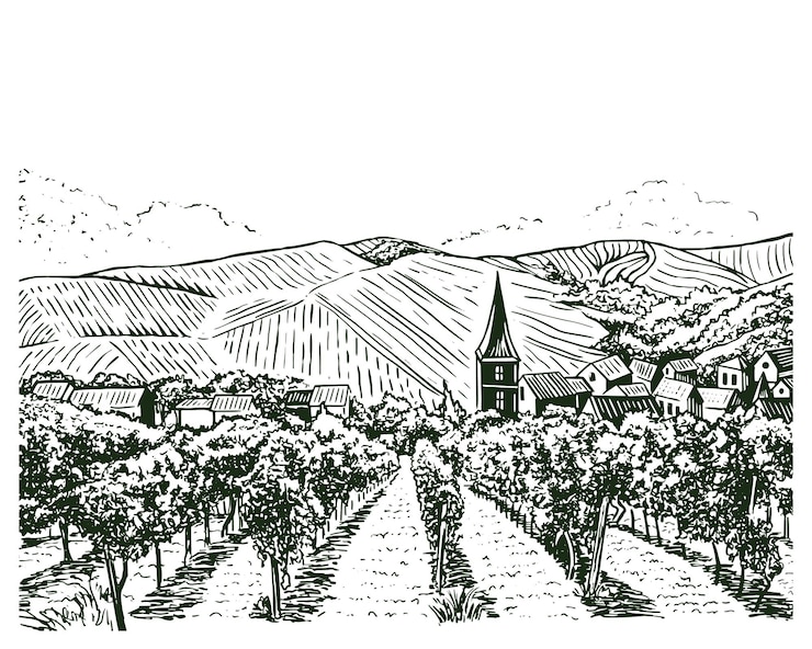 Vecteur illustration vintage d'une ferme viticole