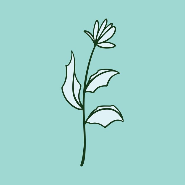 Illustration Vintage De Fleur Botanique