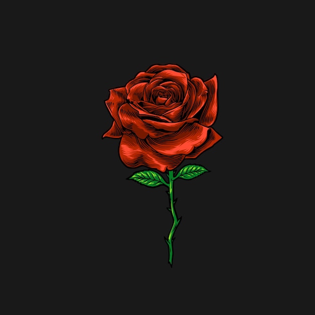 Vecteur illustration vintage de rose rouge