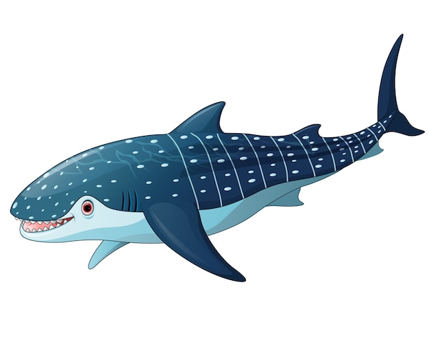 Illustration De Whaleshark