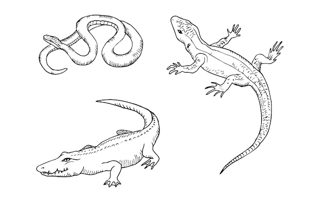 Vecteur illustrations d'animaux dans le style art ink