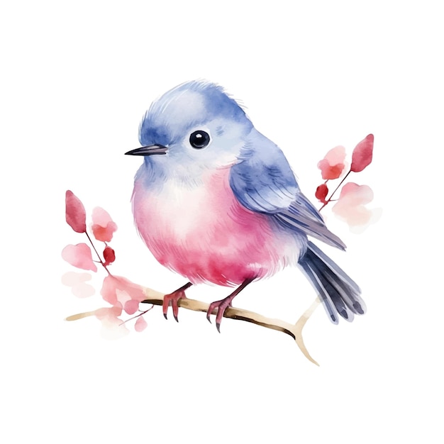 Illustrations à L'aquarelle Oiseau Sur Un Fond Blanc