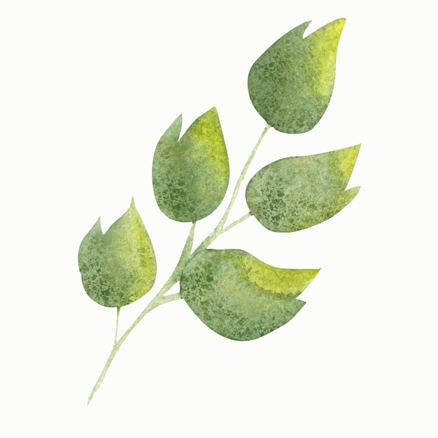 Illustrations Botaniques à L'aquarelle D'automne Branches D'automne Orange Et Jaune Avec Des Feuilles