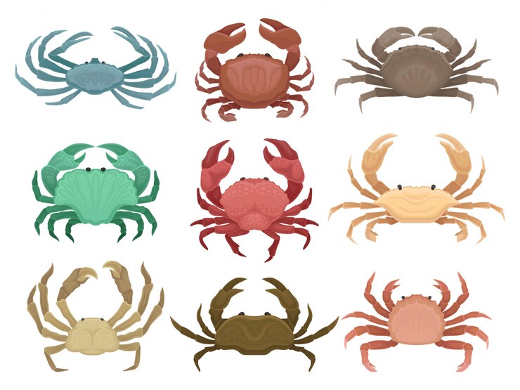 Vecteur illustrations colorées dans le style sur fond blanc.