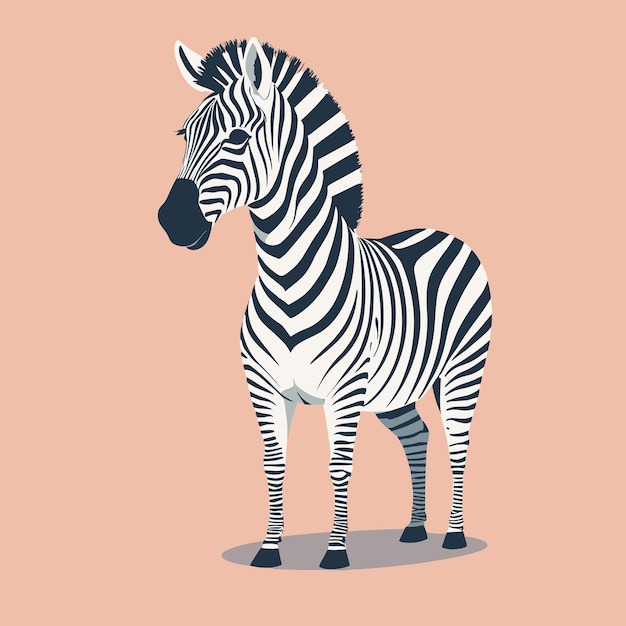Des illustrations de dessins animés de zèbres, des cliparts de conception vectorielle pour enfants