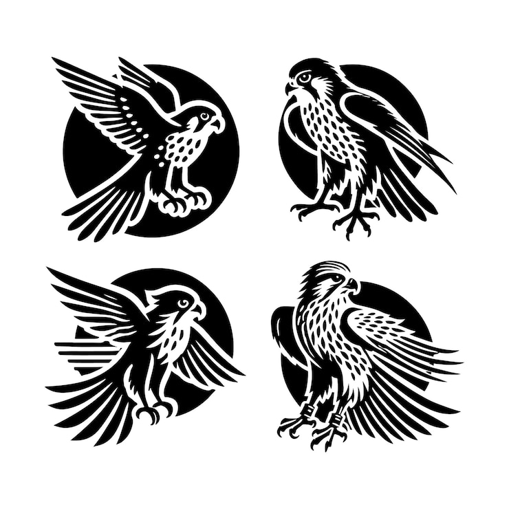Vecteur illustrations élégantes de la silhouette de kestrel pour le design graphique et l'art