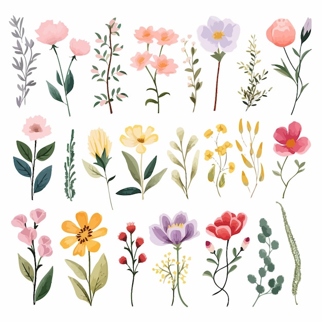 Vecteur illustrations florales