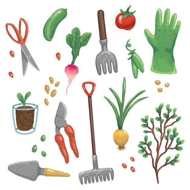 Illustrations D'outils De Jardin, De Légumes Et De Plantes. Gants, Râteau, Ciseaux, Sécateur, Pelle, Oignon, Graines, Pois, Arbrisseau, Concombre, Radis, Germe En Pot, Tomate