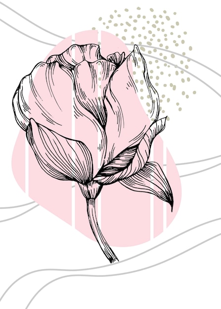 Illustrations Peintes à La Main De Pivoines Pour La Décoration Murale Fleur Minimaliste Dans Le Style De Croquis