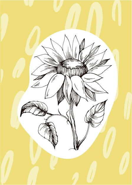 Illustrations peintes à la main de tournesol pour la décoration murale fleur minimaliste dans le style de croquis