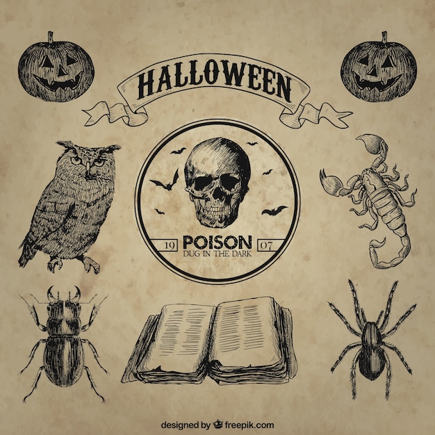 Illustrations Sombre Halloween