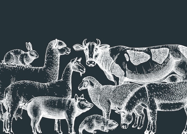 Vecteur illustrations vectorielles d'animaux de ferme dessinées à la main sur un tableau noir
