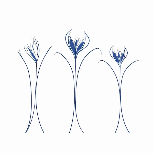 Des illustrations vectorielles délicates de cloches bleues montrant la complexité de leurs pétales