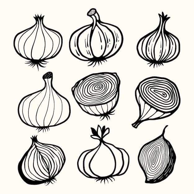 Vecteur illustrations vectorielles dessinées à la main de doodle onion red et garlic