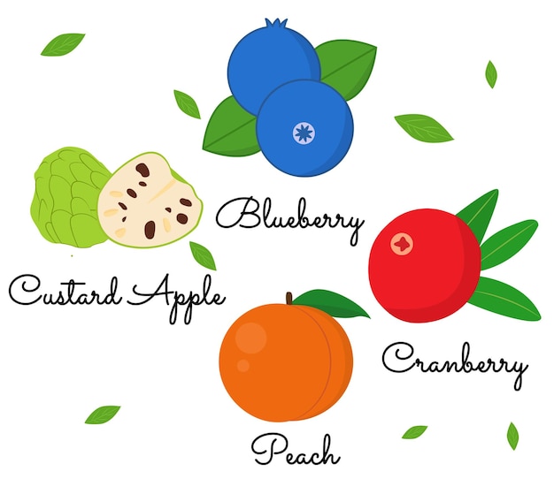 Illustrations Vectorielles De Fruits