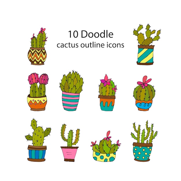 Illustrations Vectorielles De Plantes Succulentes De Cactus