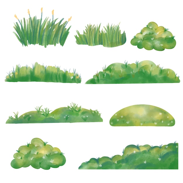 Vecteur illustrations vert de l'herbe collection d'aquarelle