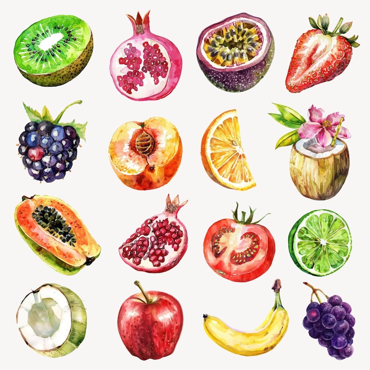 Vecteur des illustrations vives d'aquarelle de fruits