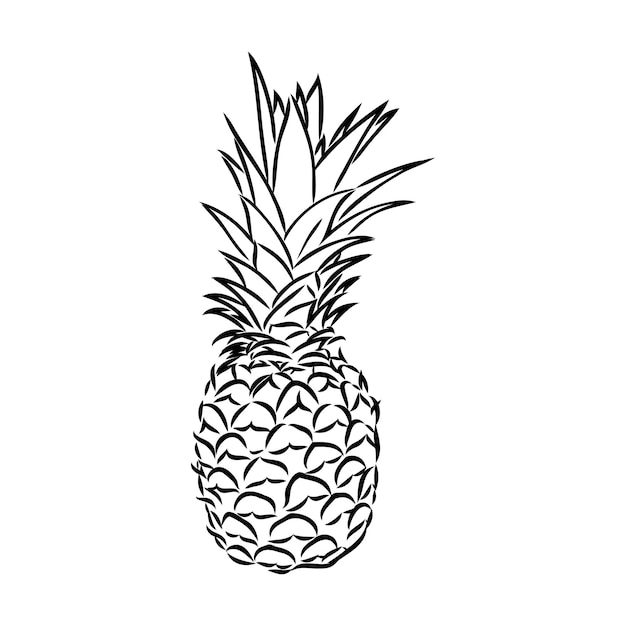 Image d'ananas fruit Vector illustration noir et blanc