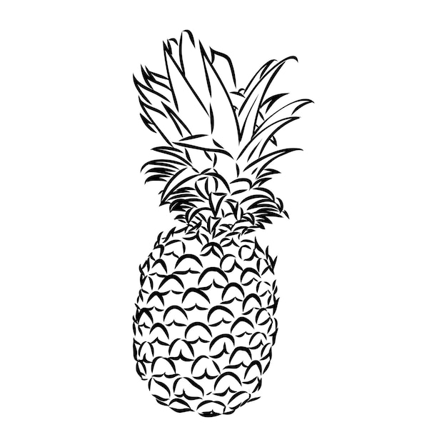 Image D'ananas Fruit Vector Illustration Noir Et Blanc