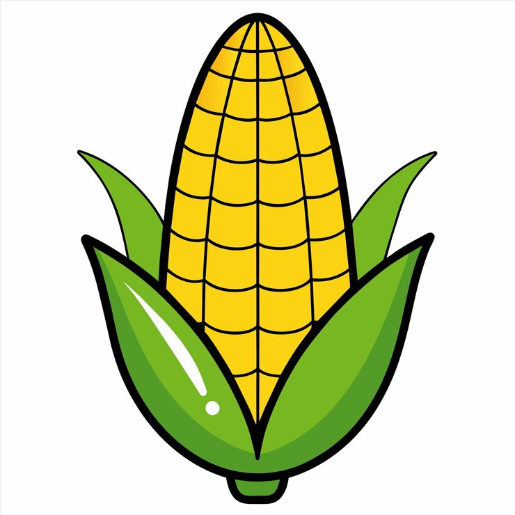Vecteur une image d'un maïs avec une feuille verte et un fond blanc