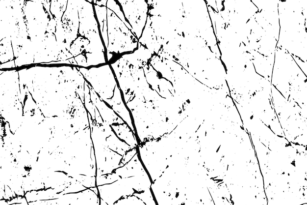 Vecteur image en noir et blanc d'une branche d'arbre.